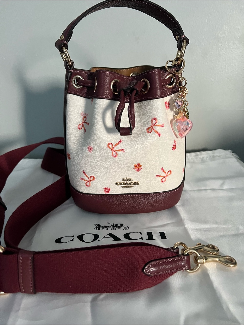 Coach Dempsey Drawstring Bucket Bag 15 With Bow Print